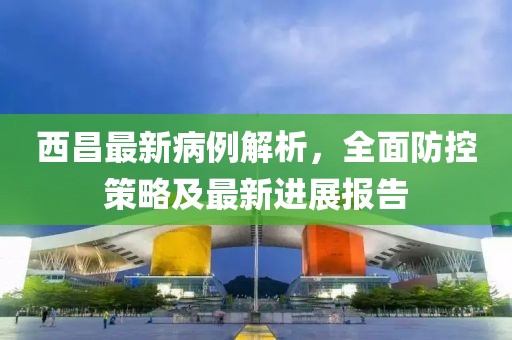 西昌最新病例解析，全面防控策略及最新進(jìn)展報告