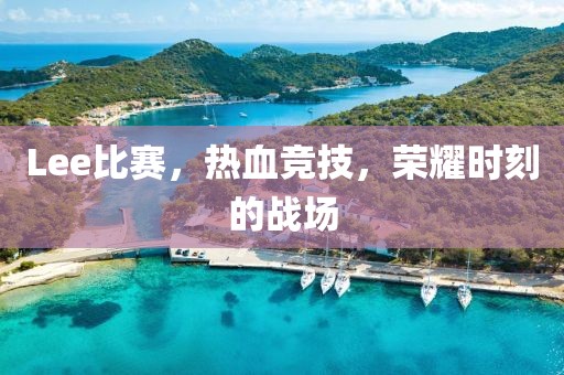 Lee比賽，熱血競技，榮耀時刻的戰(zhàn)場