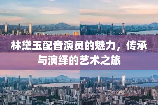 林黛玉配音演員的魅力，傳承與演繹的藝術(shù)之旅