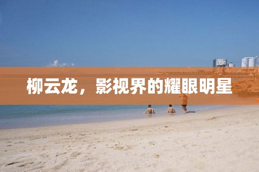 柳云龍，影視界的耀眼明星