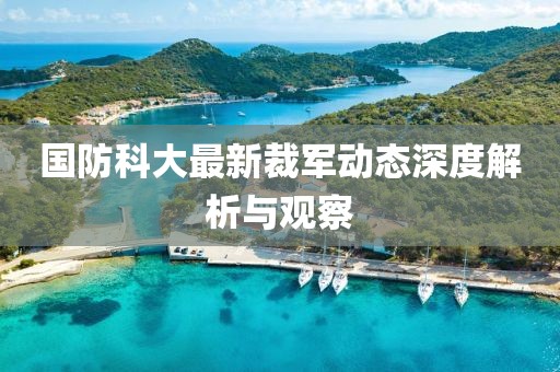 國防科大最新裁軍動(dòng)態(tài)深度解析與觀察