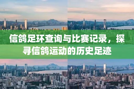 信鴿足環(huán)查詢與比賽記錄，探尋信鴿運動的歷史足跡