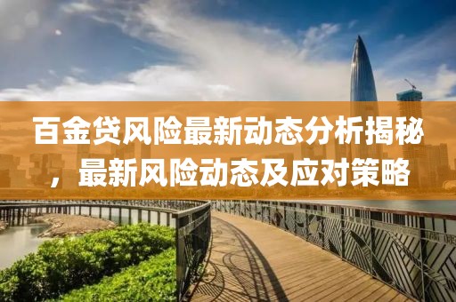 百金貸風(fēng)險最新動態(tài)分析揭秘，最新風(fēng)險動態(tài)及應(yīng)對策略