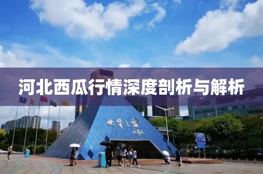 河北西瓜行情深度剖析與解析