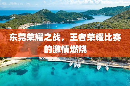 東莞榮耀之戰(zhàn)，王者榮耀比賽的激情燃燒