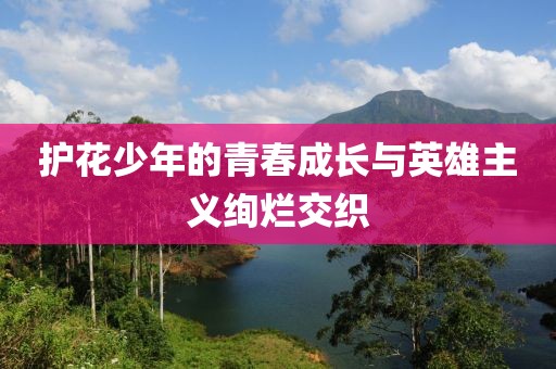 護(hù)花少年的青春成長與英雄主義絢爛交織