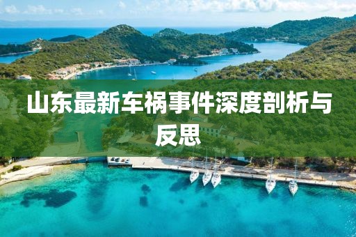 山東最新車禍?zhǔn)录疃绕饰雠c反思