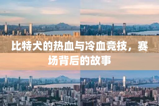 比特犬的熱血與冷血競技，賽場背后的故事