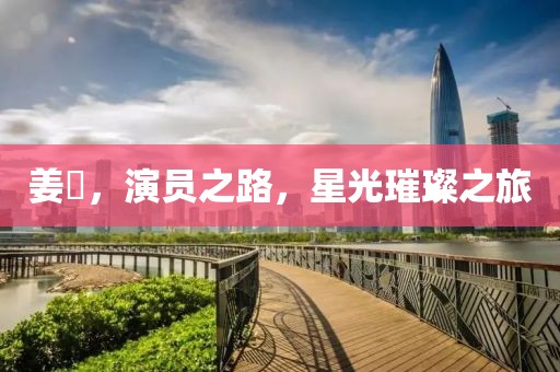 姜嫄，演員之路，星光璀璨之旅
