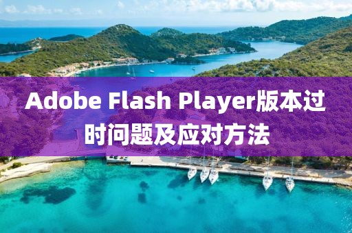 Adobe Flash Player版本過時問題及應(yīng)對方法