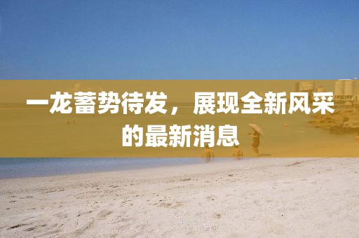 夢想無需 第3頁