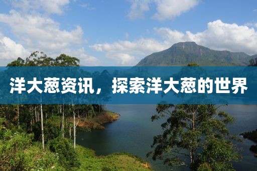洋大蔥資訊，探索洋大蔥的世界
