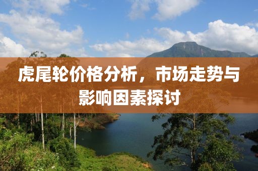 虎尾輪價格分析，市場走勢與影響因素探討