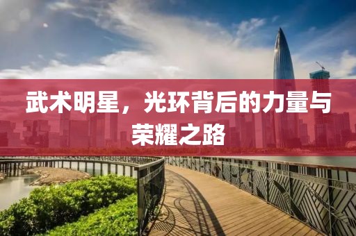 武術(shù)明星，光環(huán)背后的力量與榮耀之路