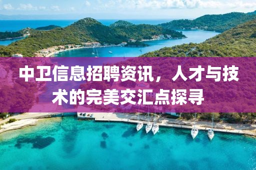 中衛(wèi)信息招聘資訊，人才與技術(shù)的完美交匯點探尋