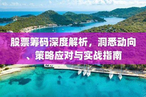 股票籌碼深度解析，洞悉動向、策略應(yīng)對與實戰(zhàn)指南