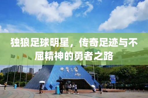 獨(dú)狼足球明星，傳奇足跡與不屈精神的勇者之路