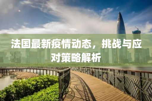 法國最新疫情動態(tài)，挑戰(zhàn)與應(yīng)對策略解析