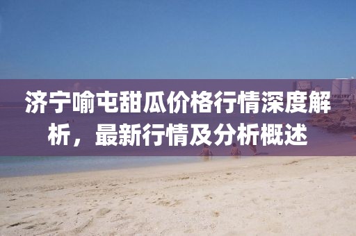 濟寧喻屯甜瓜價格行情深度解析，最新行情及分析概述