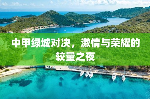 中甲綠城對決，激情與榮耀的較量之夜