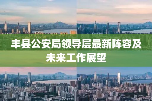 豐縣公安局領(lǐng)導(dǎo)層最新陣容及未來工作展望
