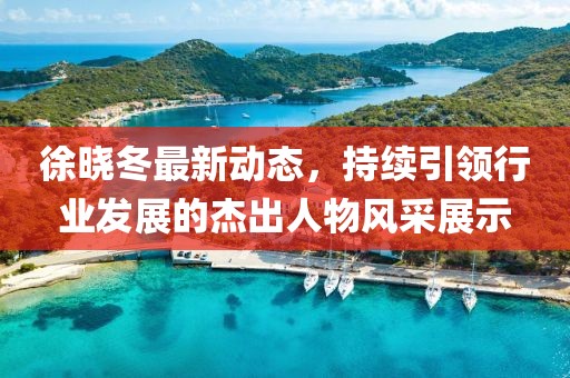 徐曉冬最新動(dòng)態(tài)，持續(xù)引領(lǐng)行業(yè)發(fā)展的杰出人物風(fēng)采展示
