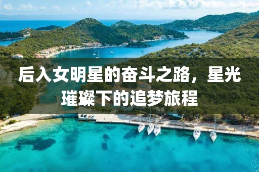 后入女明星的奮斗之路，星光璀璨下的追夢旅程