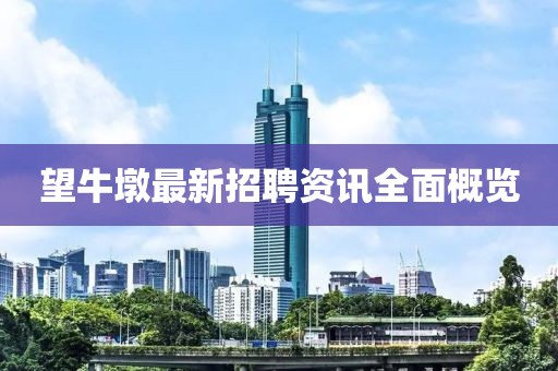 望牛墩最新招聘資訊全面概覽