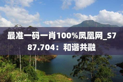 最準(zhǔn)一碼一肖100%鳳凰網(wǎng)_S787.704：和諧共融