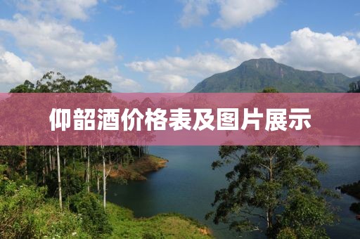 仰韶酒價(jià)格表及圖片展示