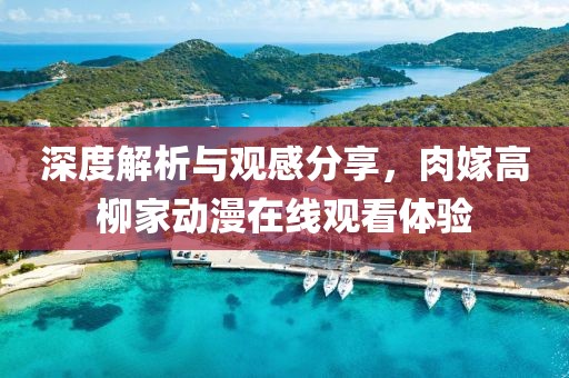 深度解析與觀感分享，肉嫁高柳家動漫在線觀看體驗