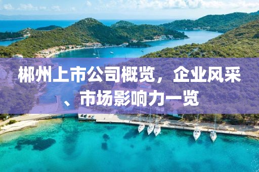 郴州上市公司概覽，企業(yè)風(fēng)采、市場影響力一覽