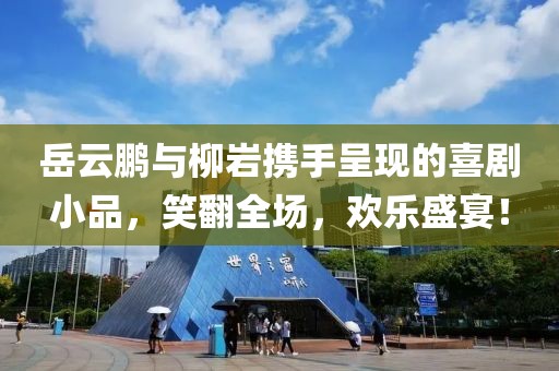 岳云鵬與柳巖攜手呈現(xiàn)的喜劇小品，笑翻全場，歡樂盛宴！