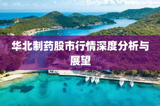 華北制藥股市行情深度分析與展望