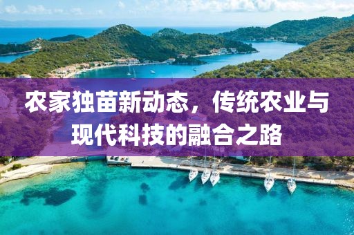 農(nóng)家獨苗新動態(tài)，傳統(tǒng)農(nóng)業(yè)與現(xiàn)代科技的融合之路