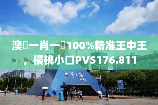 澳門一肖一碼100%精準(zhǔn)王中王，櫻桃小口PVS176.811