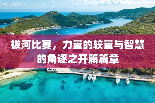 澤威防水優(yōu)勢 第10頁