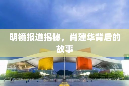 明鏡報道揭秘，肖建華背后的故事