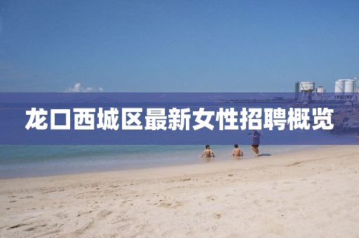 龍口西城區(qū)最新女性招聘概覽