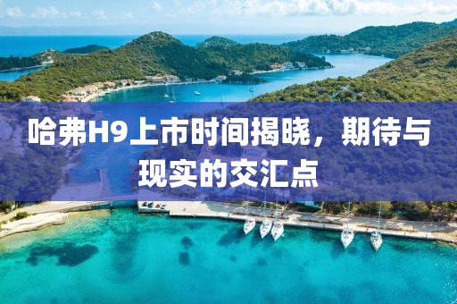 哈弗H9上市時間揭曉，期待與現(xiàn)實的交匯點
