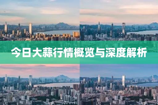 資質(zhì)榮譽 第6頁