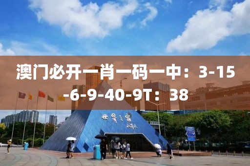 澳門必開一肖一碼一中：3-15-6-9-40-9T：38