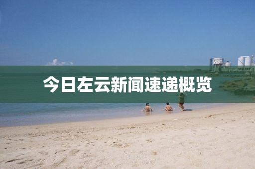 今日左云新聞速遞概覽