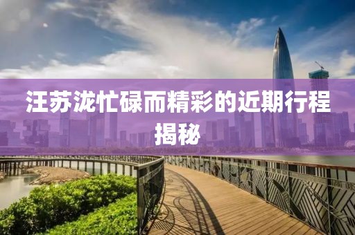 汪蘇瀧忙碌而精彩的近期行程揭秘