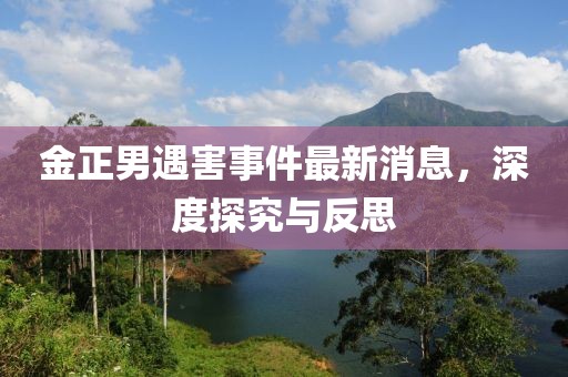 金正男遇害事件最新消息，深度探究與反思