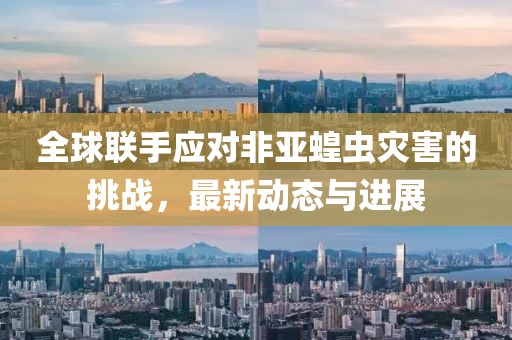 全球聯(lián)手應(yīng)對(duì)非亞蝗蟲(chóng)災(zāi)害的挑戰(zhàn)，最新動(dòng)態(tài)與進(jìn)展