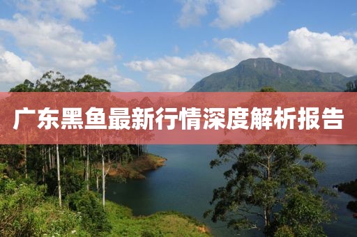 廣東黑魚最新行情深度解析報告