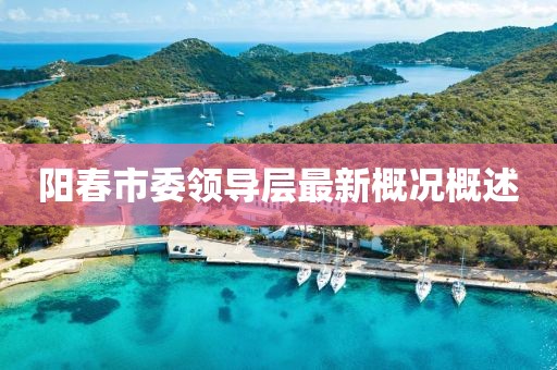 陽春市委領(lǐng)導(dǎo)層最新概況概述