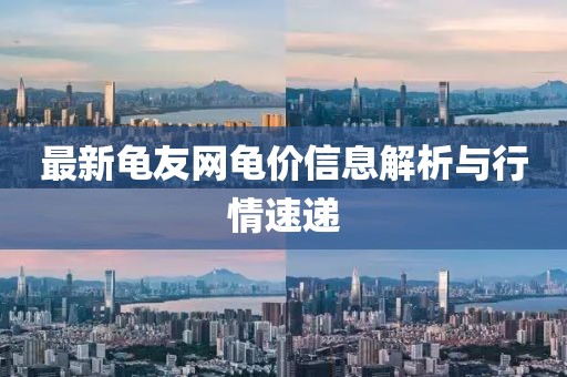 最新龜友網(wǎng)龜價信息解析與行情速遞