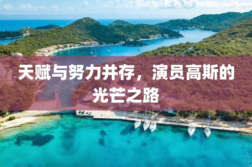 天賦與努力并存，演員高斯的光芒之路
